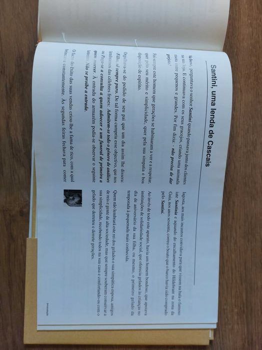 Livro Santini - Gelataria