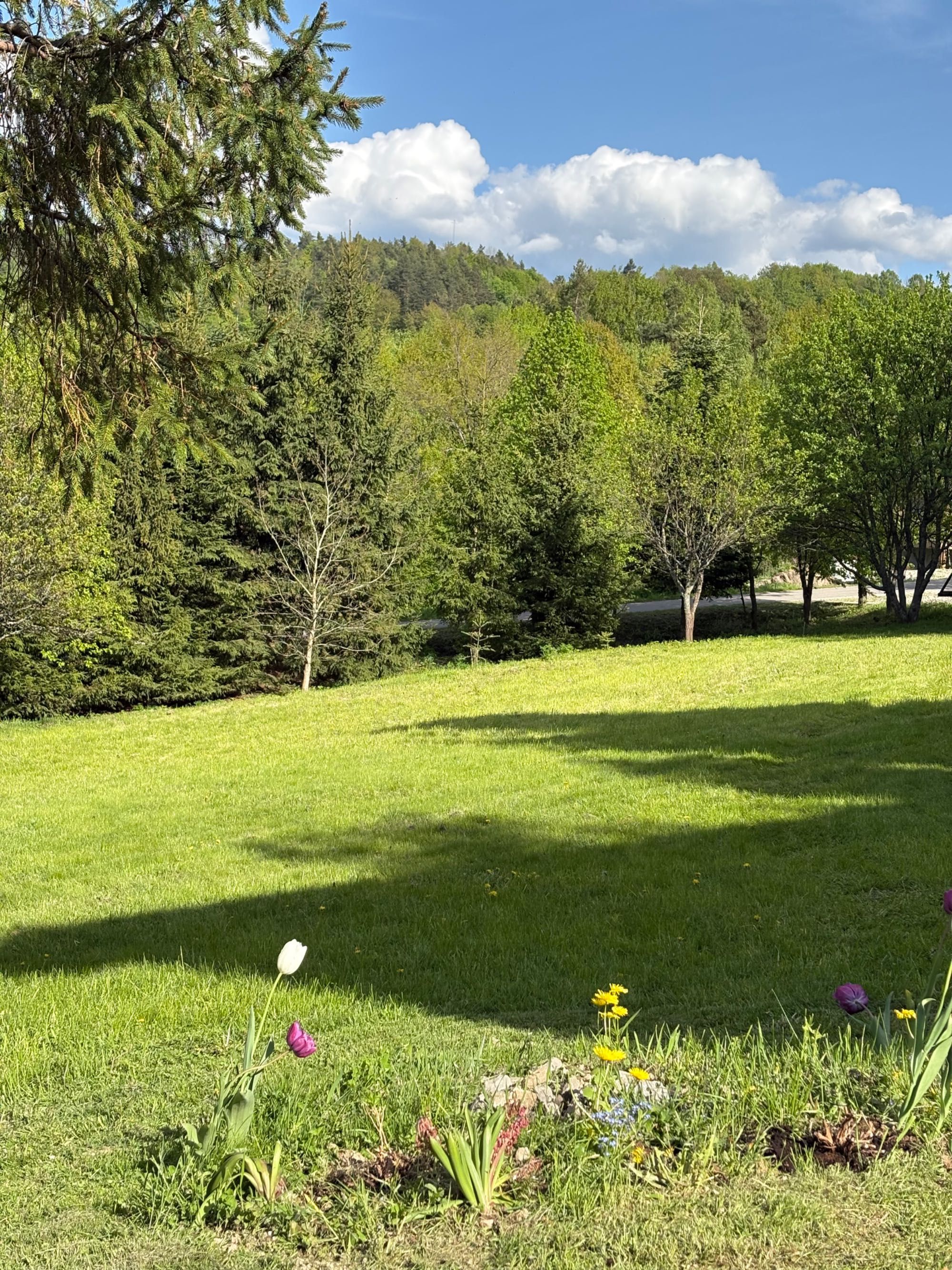 Dom do wynajęcia Bieszczady ,,Brzozowy Gaj”