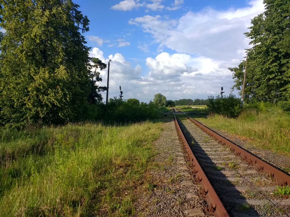 Гостомель. Фасадна ділянка біля траси. Земля під комерцію - 51 сотка.
