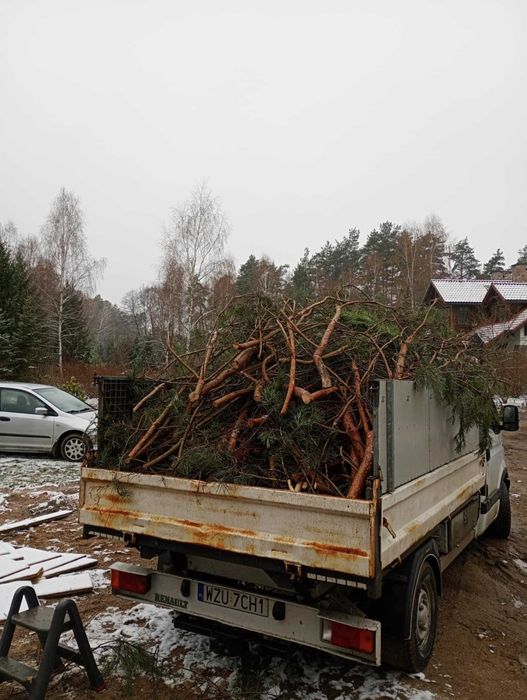 Zwyżka - Usługi podnośnikiem - Wycinka drzew - Operator podnośnika