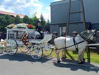 Biały karawan konny   . Cały kraj.