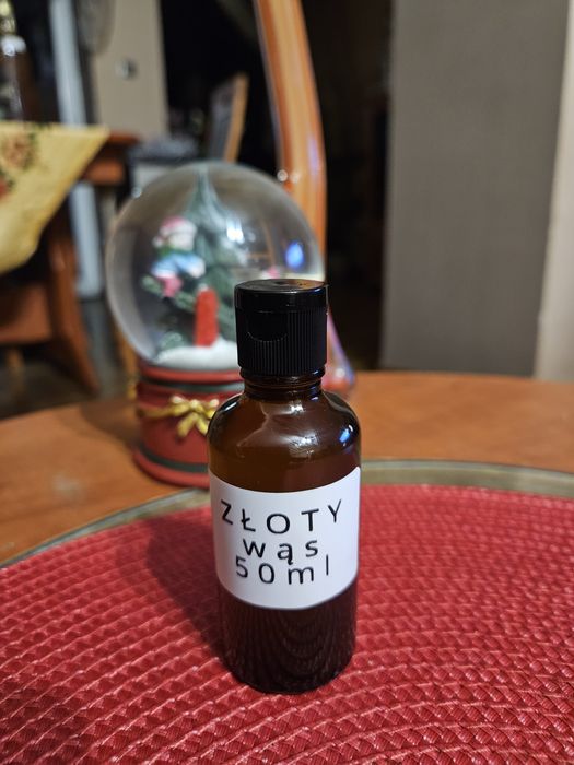 Złoty wąs wyciąg z Callisia fragrans