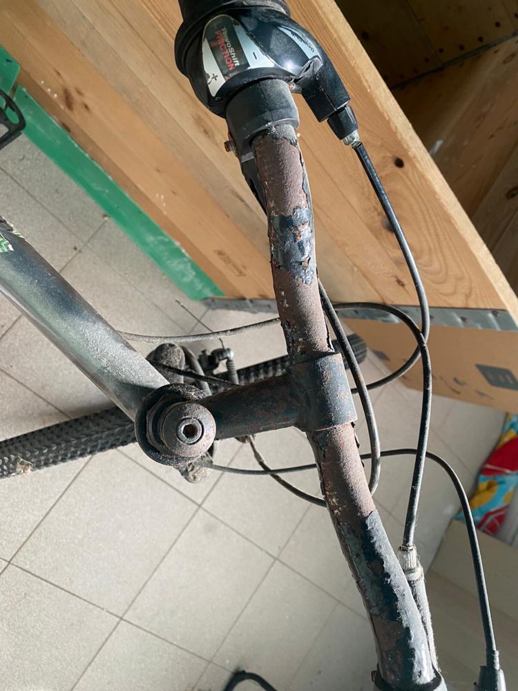 Bicicleta adulto