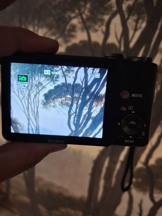 Цифровой фотоаппарат Sony Cyber-shot DSC-HX5V