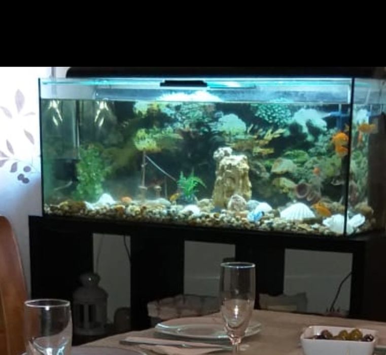 Aquário  com bombas e peixes