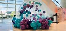 Aluguer Bubble House | Bolha | Insufláveis | Insuflável para Eventos