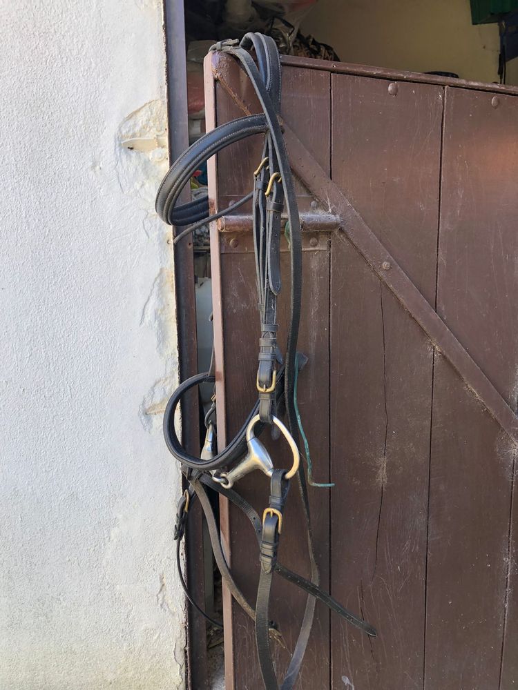 Equipamento de  Equitação