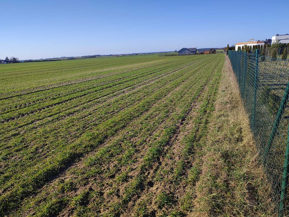 Działka budowlana 1682 m2 Łubianka