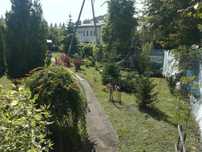 Działka Rod/ogródek dzialkowy