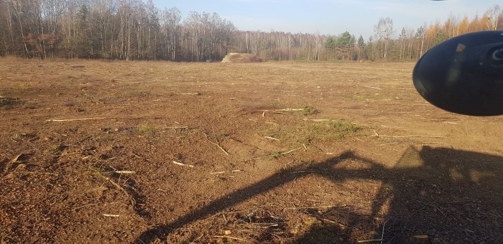 Wycinka drzew,samosiejek,krzakow,Dzierżawa grunow..Usługi Lesne Transp