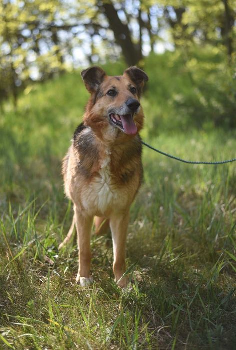 Sylwek czeka na wystrzałowego opiekuna