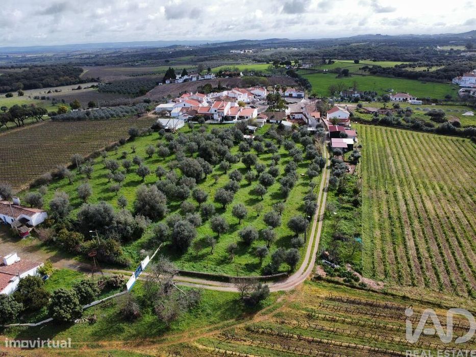 Quinta T4 em Arcos de 204,00 m2