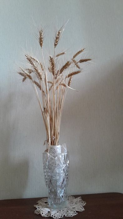 Сдам 1-комнатную квартиру посуточно Киев цент сердца Юность м.Чернигов-6-555.biz.ua