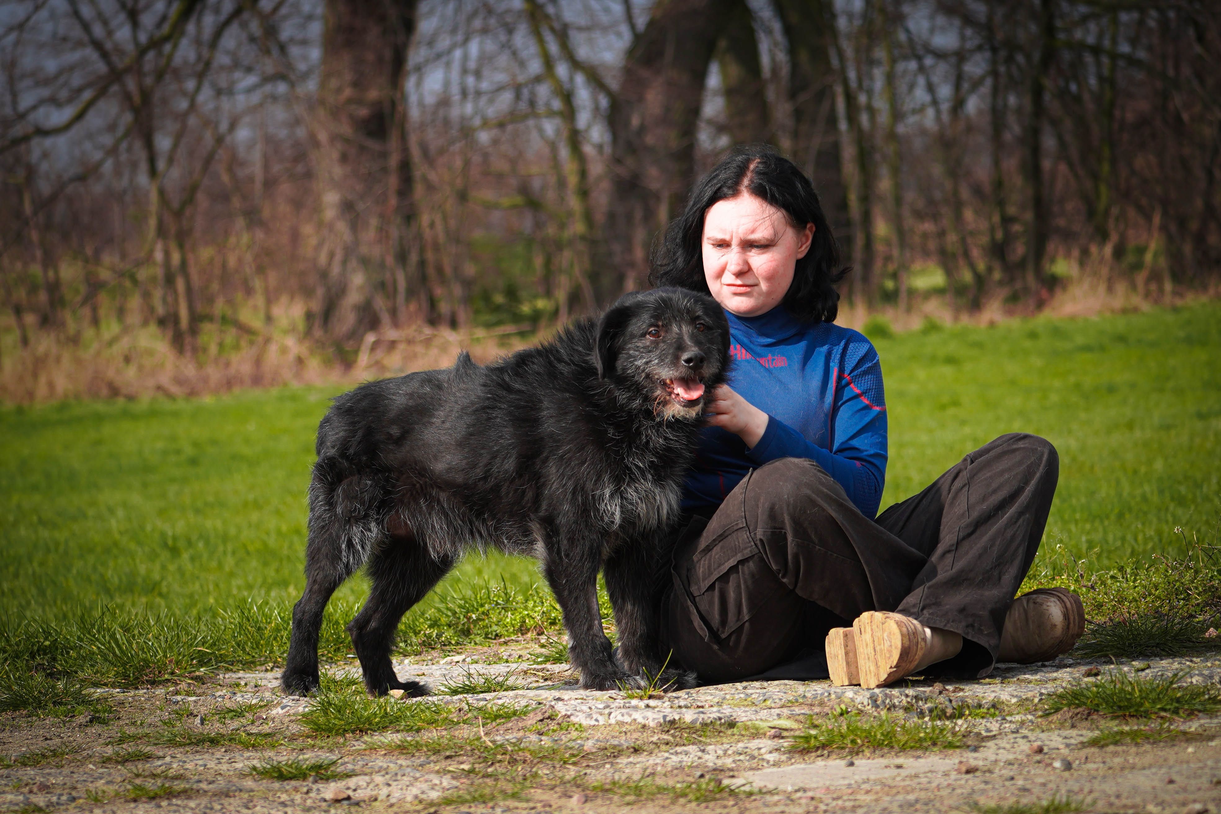 Daktyl super życzliwy i spokojny psiak czeka na dom