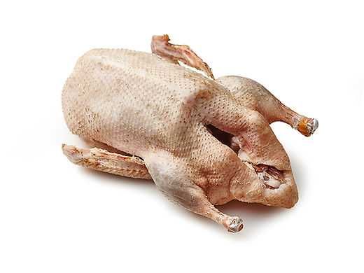 Продам домашні гуси живою вагою та тушкою