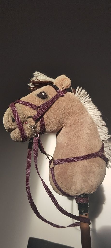 Sprzęt dla hobby horse