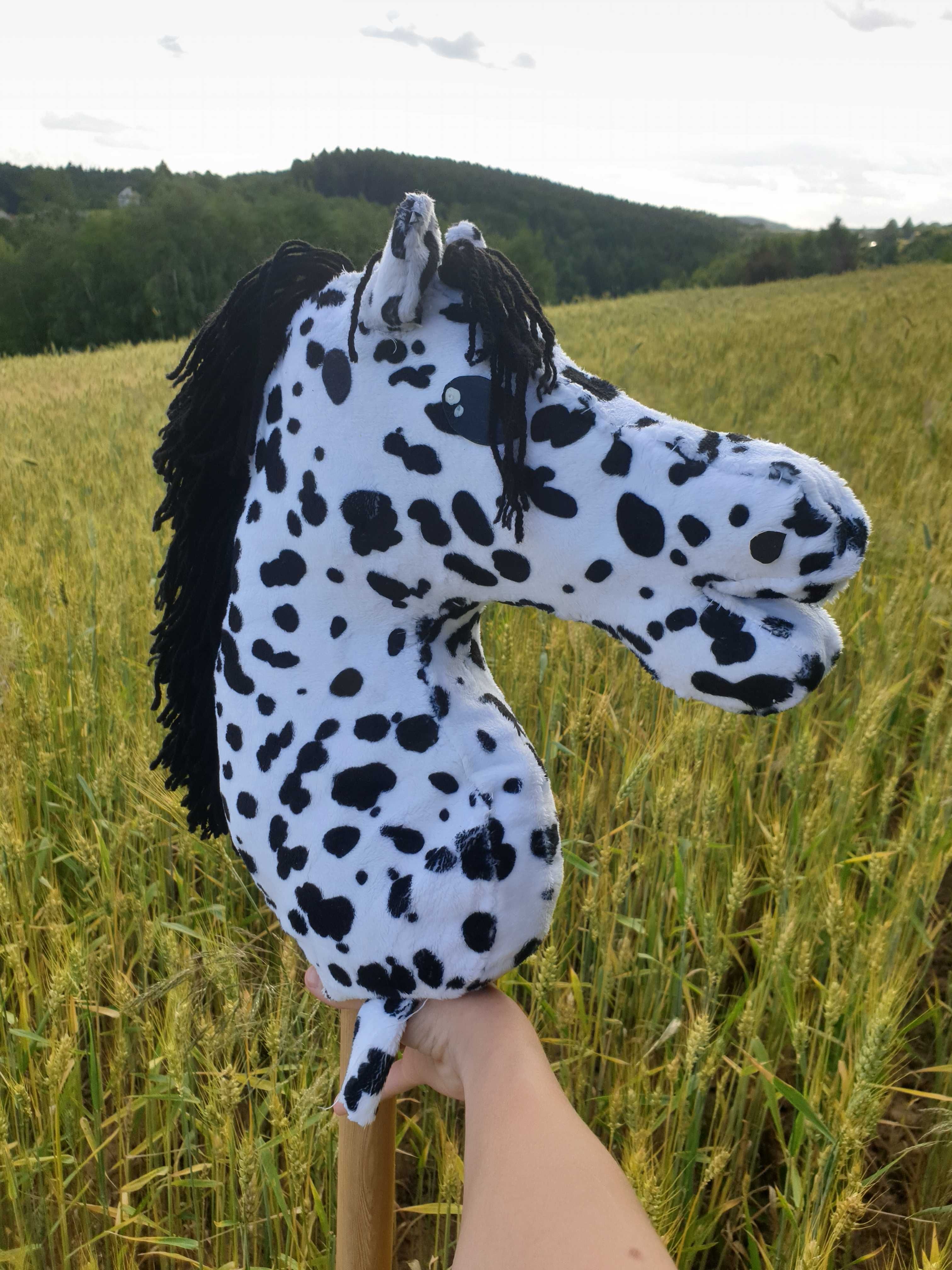 Hobby Horse tarantowaty A3