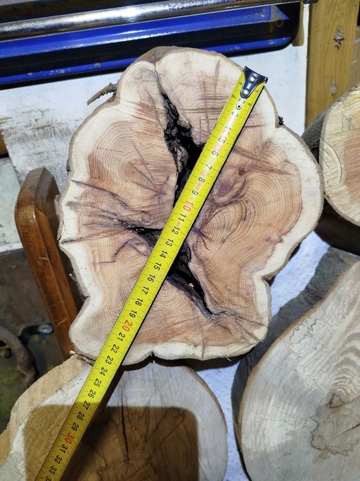 Plastry z drewna (Grab,Cis,Śliwa Węgierka, Czereśnia,Jesion,Buk,Brzoza