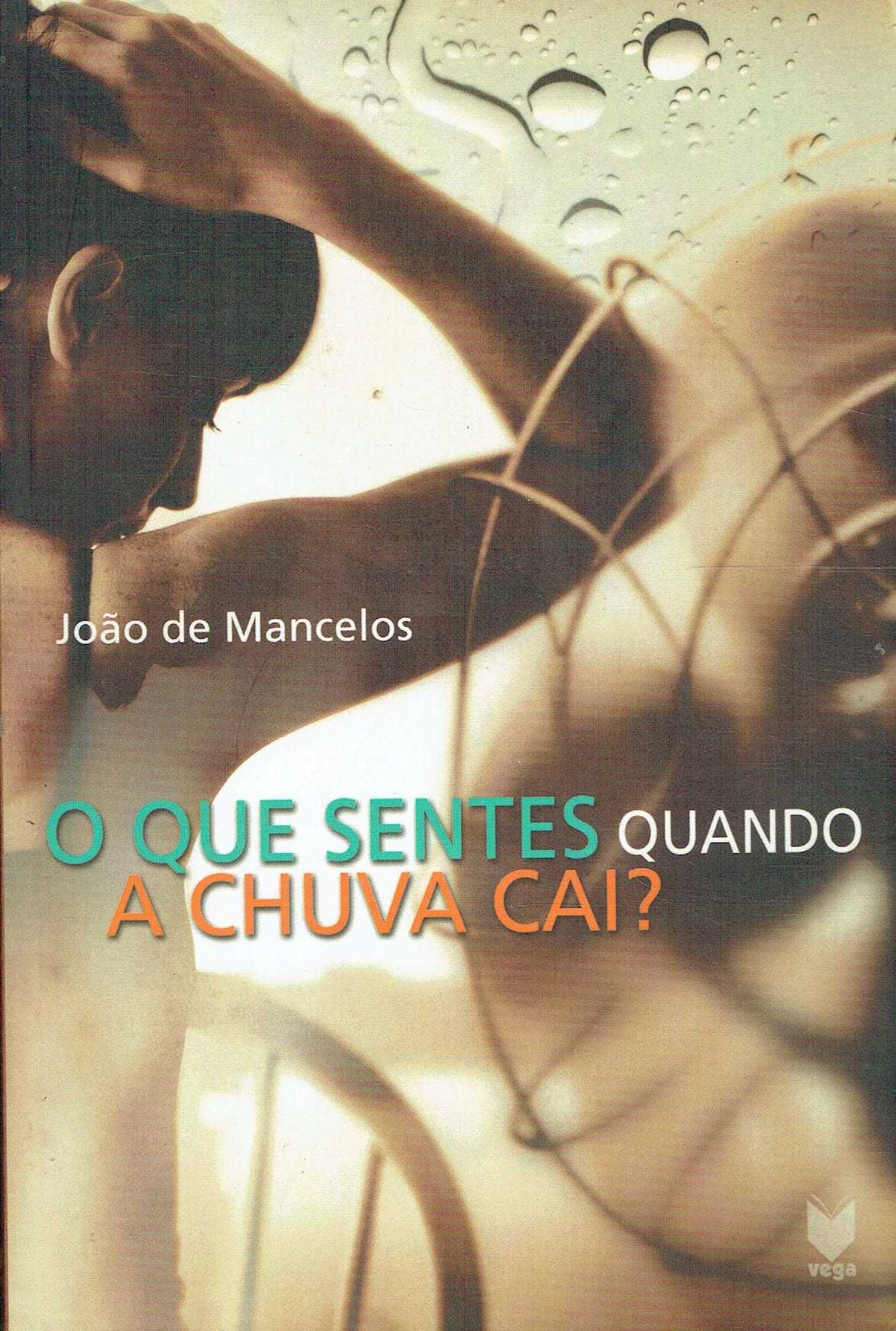 14738

O Que Sentes Quando a Chuva Cai?
de João de Mancelos