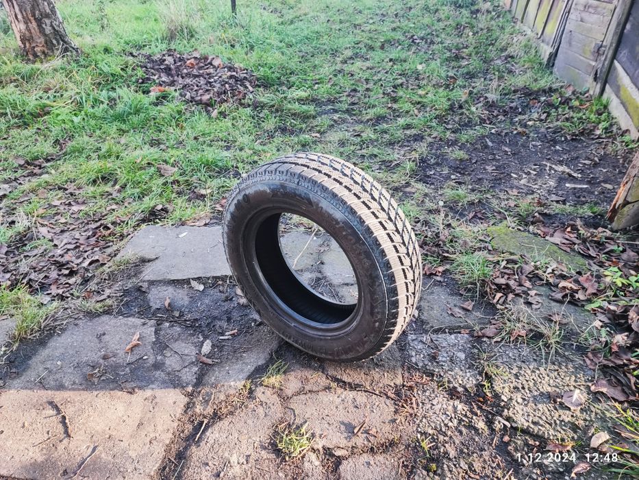 Opony zimowe DYNAMO Snow-H MWH01 165/70 R13