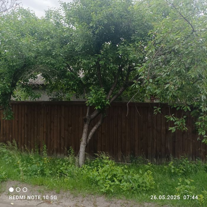 Продам будинок в Лебедині.