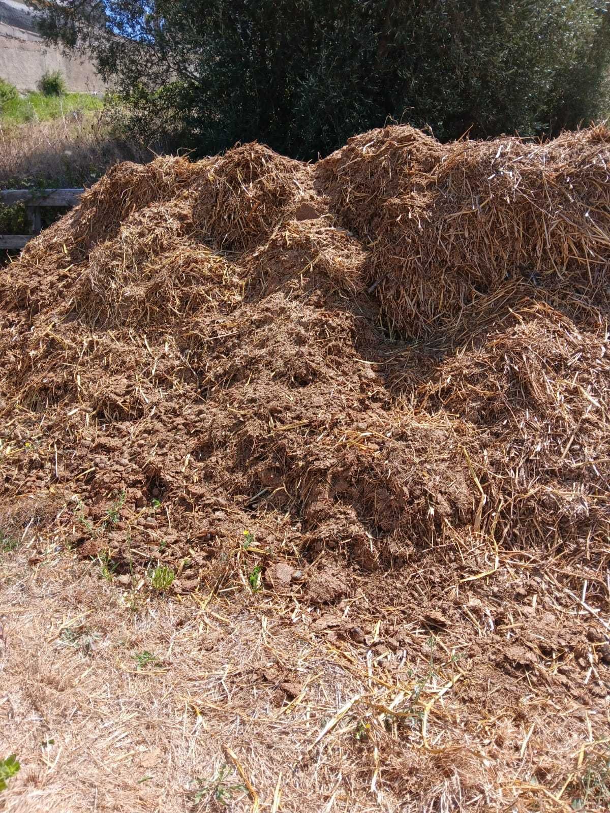 Estrume de Cavalo Curtido