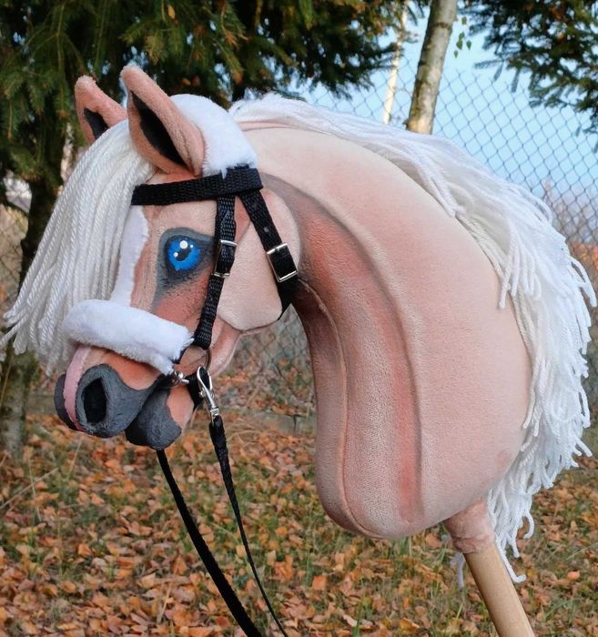 Izabelowaty konik Hobby Horse A4 + sprzęt