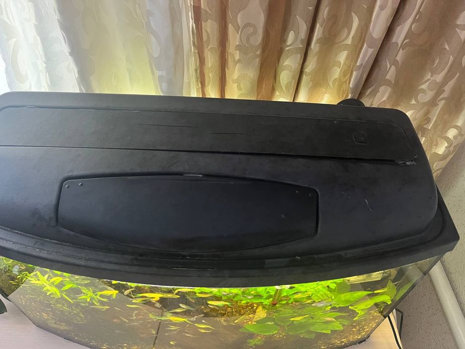 Аквариум 100 литров в хорошем состоянии с налаженной биосистемой