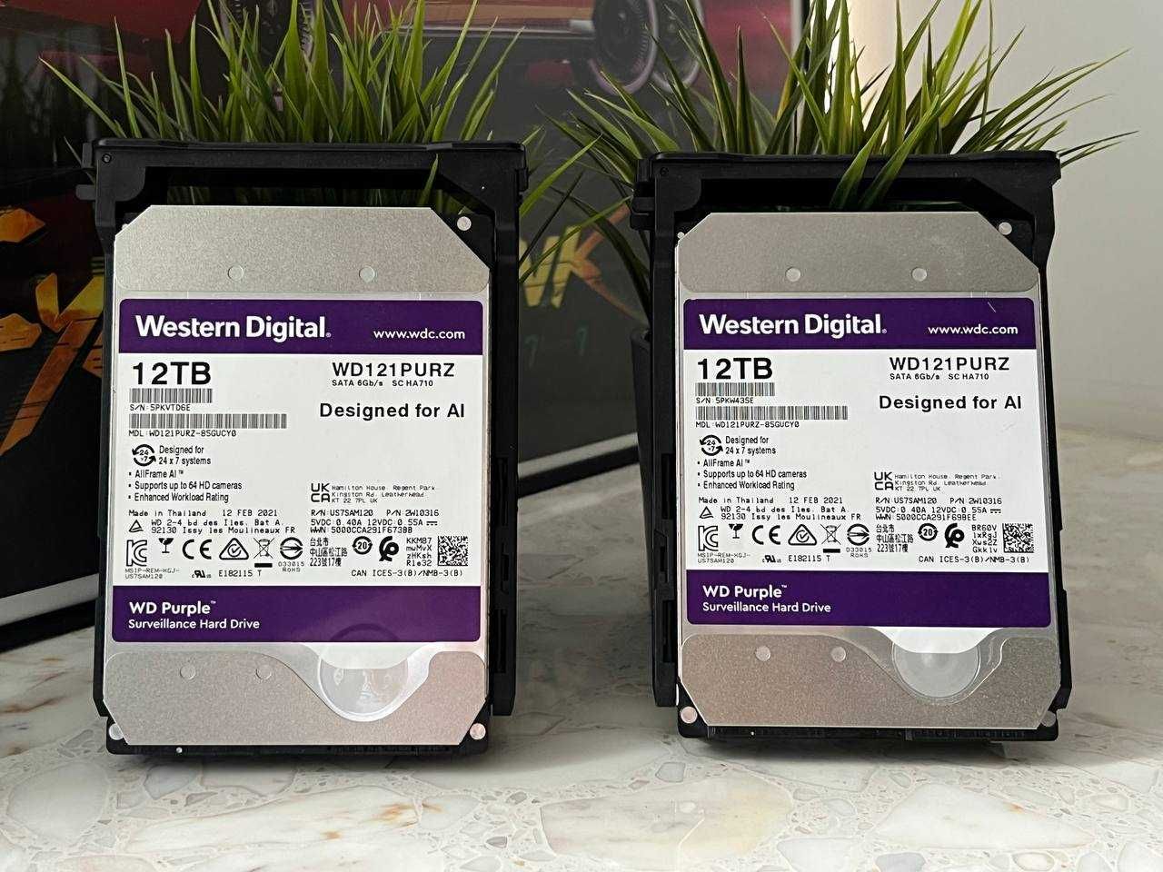 Western Digital Dysk Do Rejestratora Hdd-Wd121Purp 12Tb 24/7