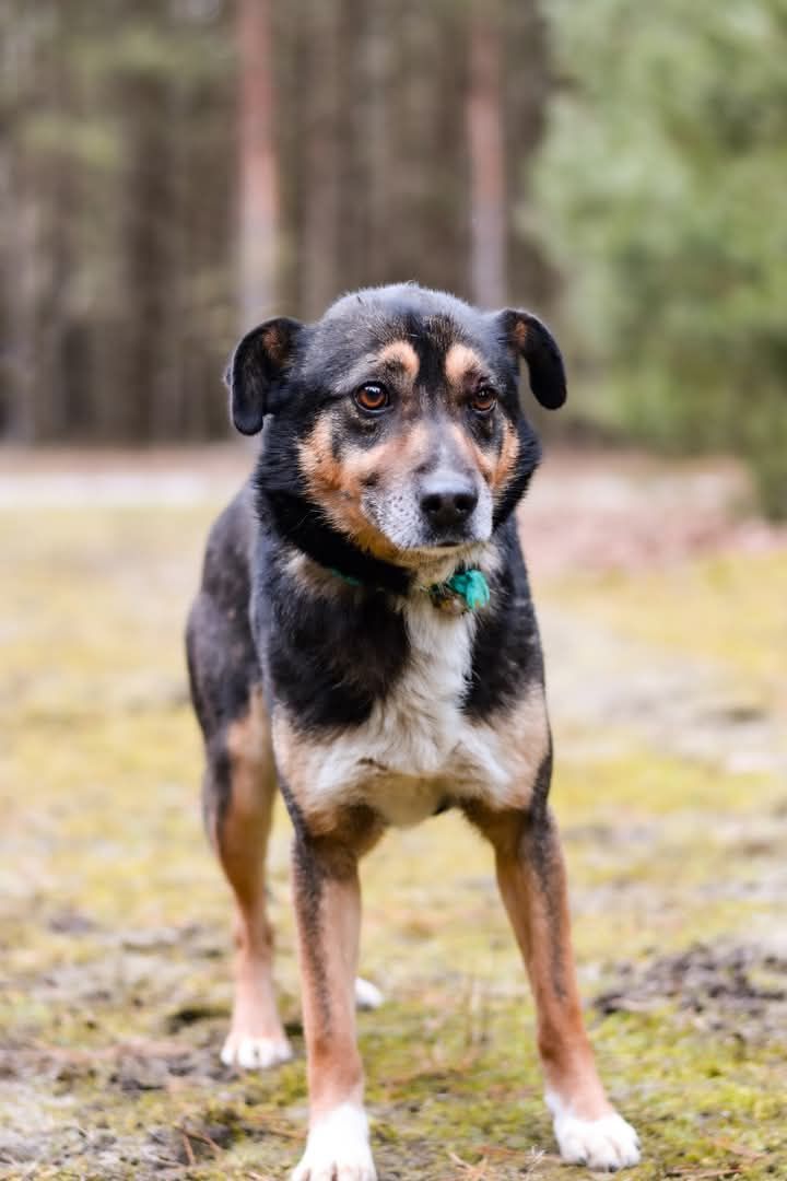 Adoptuj Kacperka