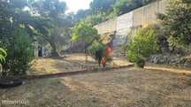 Moradia com Terreno e poço