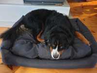 Komfortowe legowisko dla psa wiele rozmiarów i kolorów kanapa kojec