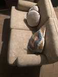Sofa-cama em bom estado geral  .