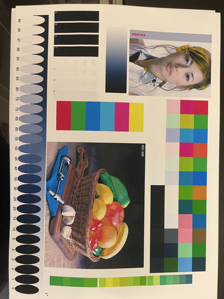 Принтер формату A3+ Epson Stylus Photo R1800
