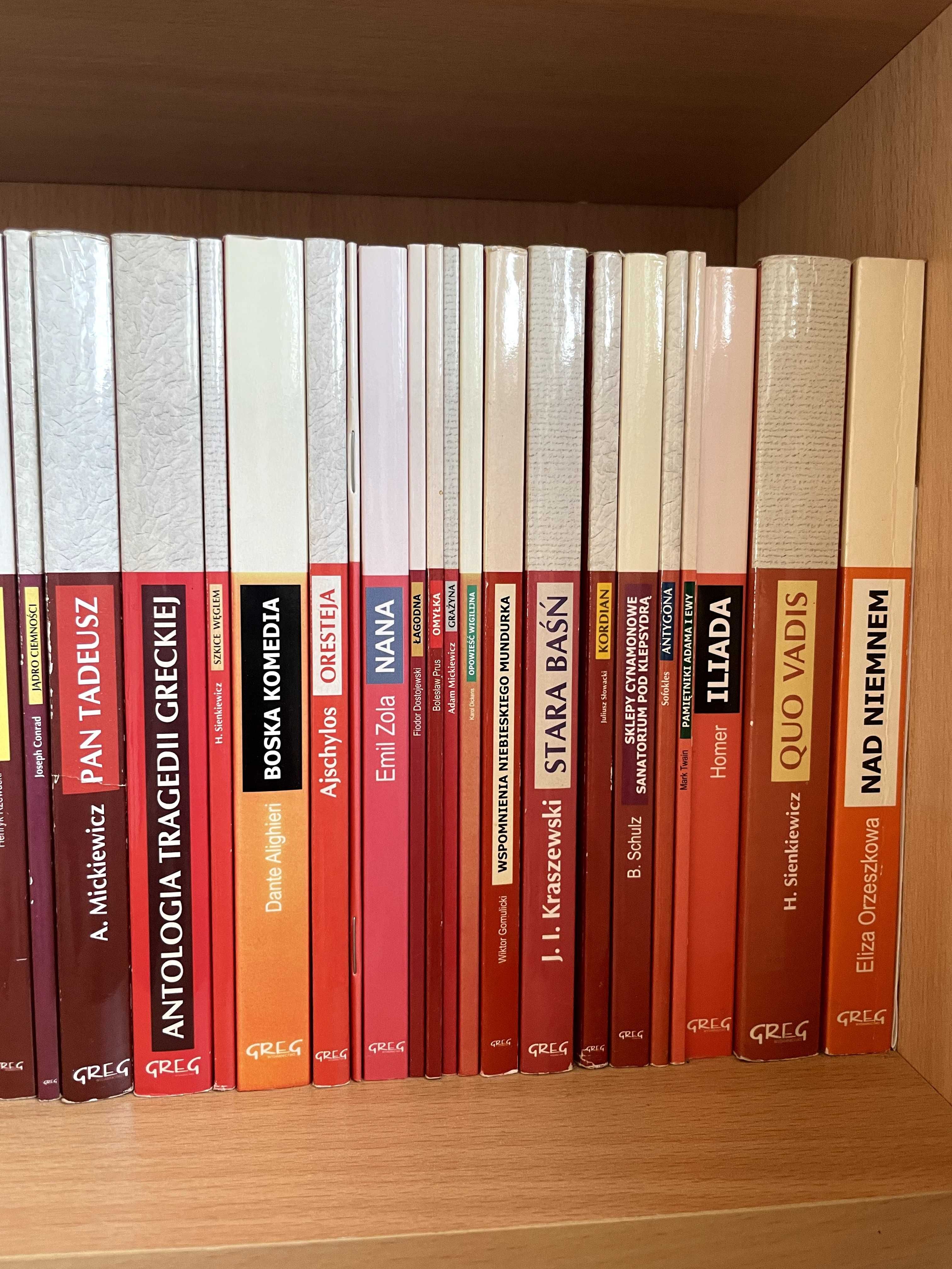 Kolekcja Lektury GREG 107 książek lektur szkoła średnia biblioteka