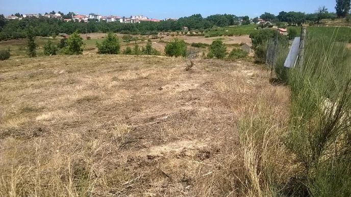 TERRENO rústico em Gramaços - Oliveira do Hospital, com 1 hectare.