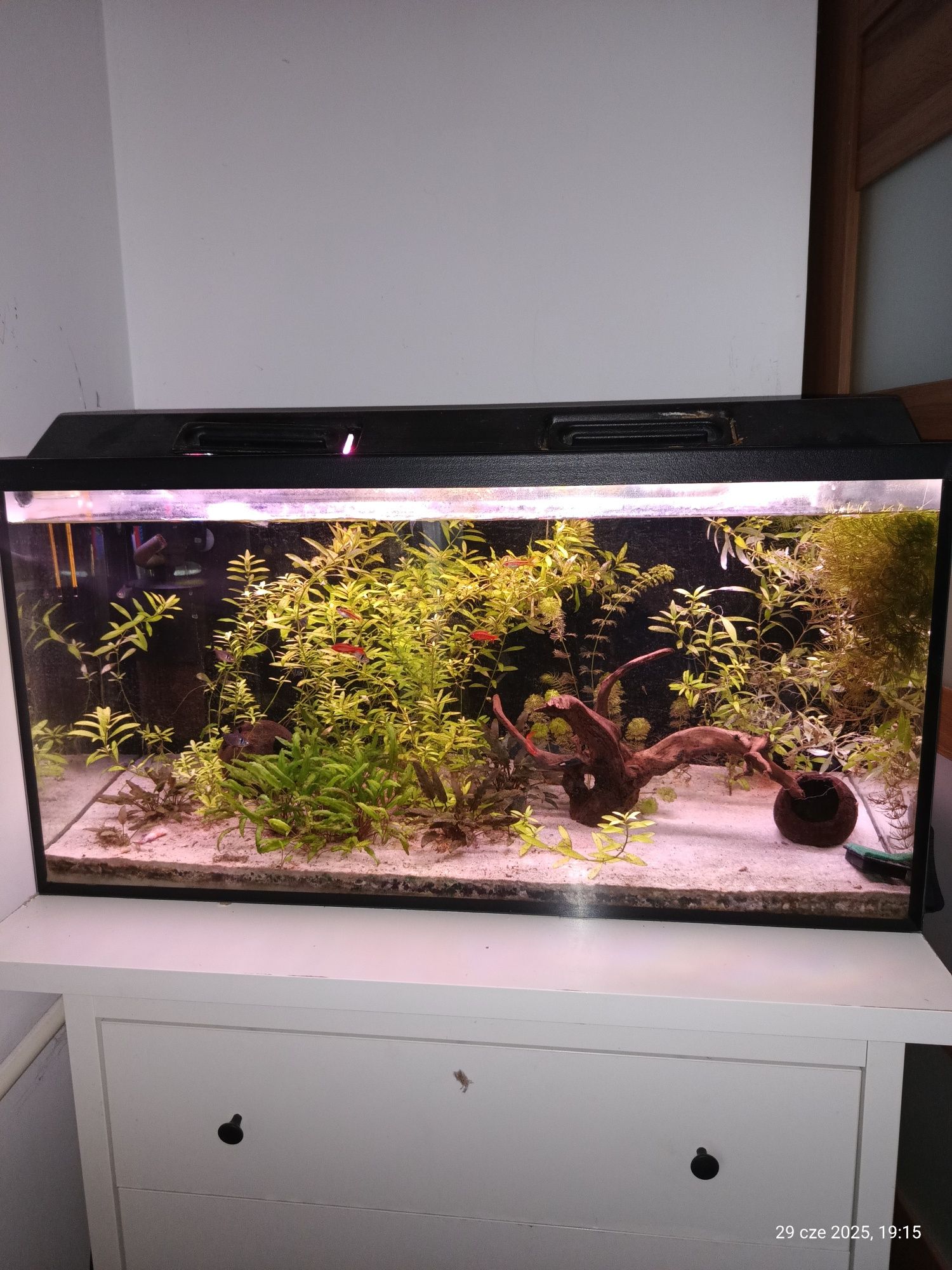 Sprzedam akwarium 200l