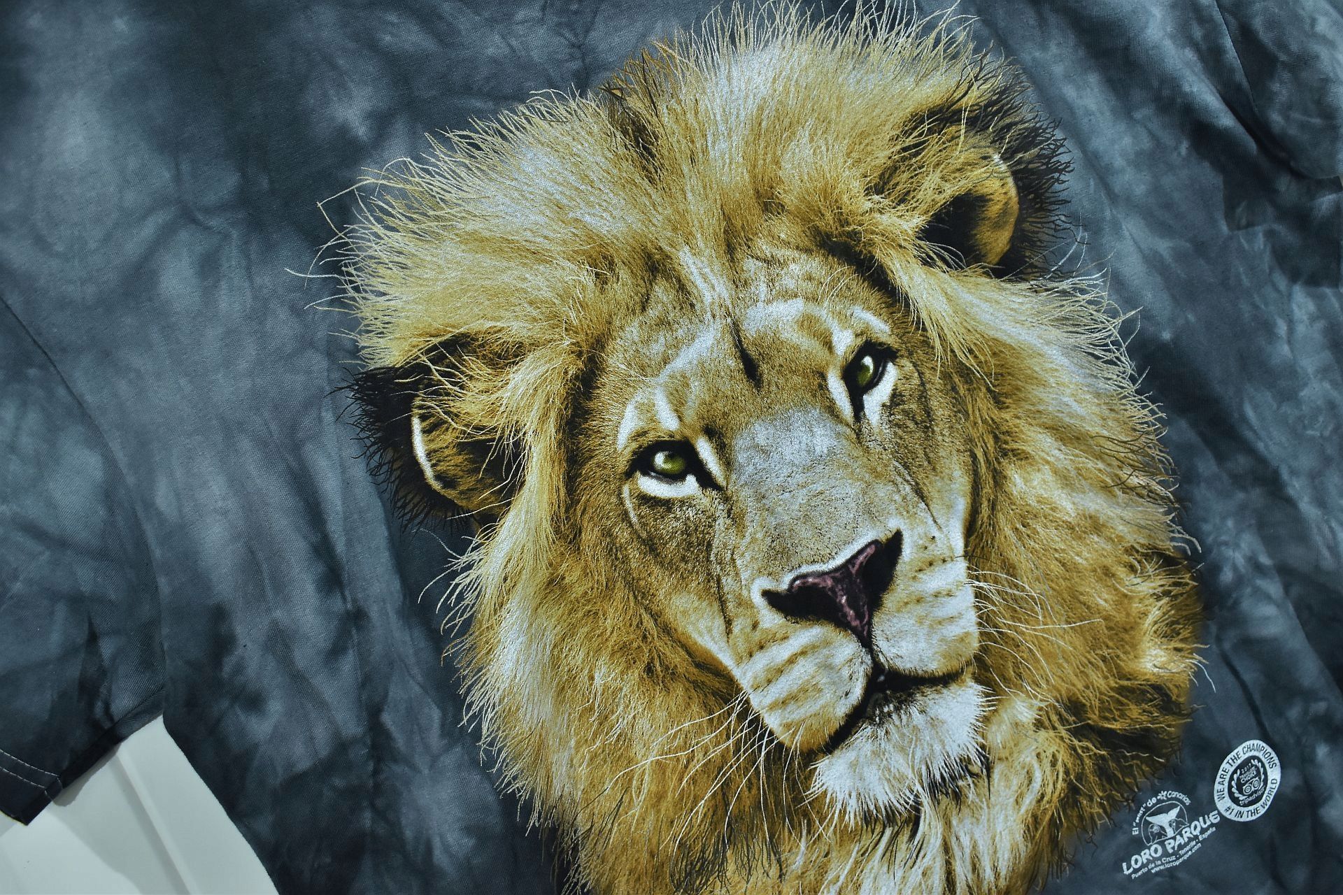 Loro Parque Koszulka Z Nadrukiem Lwa Print Xl