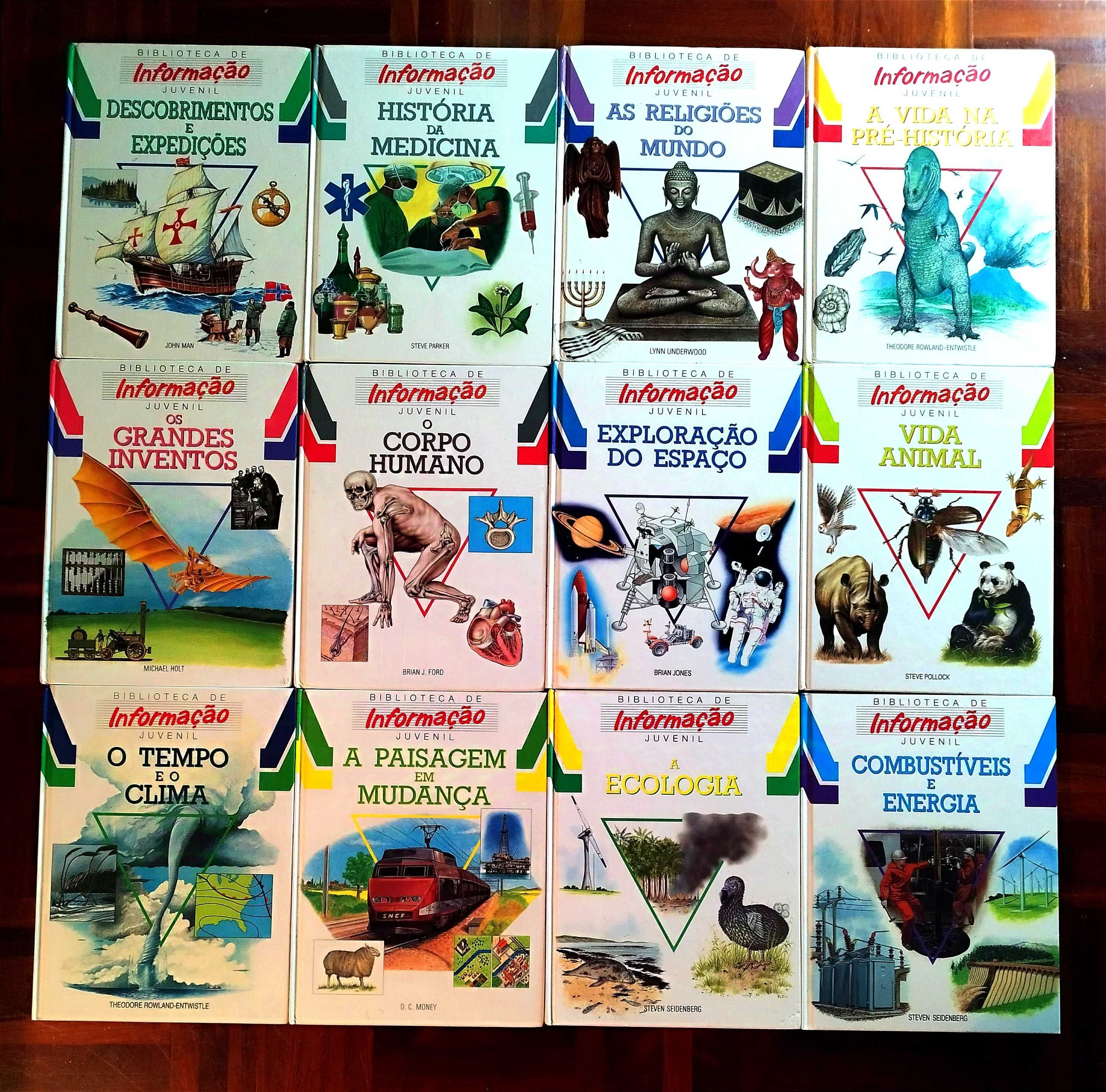 Grande Lote de Livros para Todas as Idades