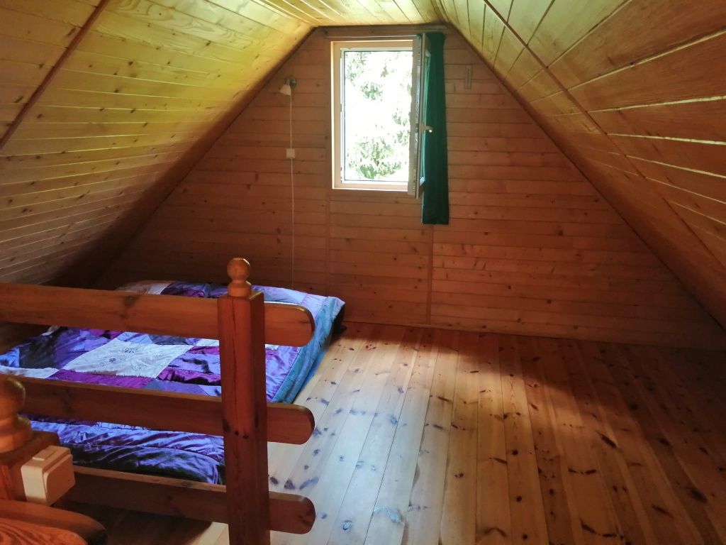 Działka rekreacyjna z domkiem nad Zagłęboczem, Jagodno