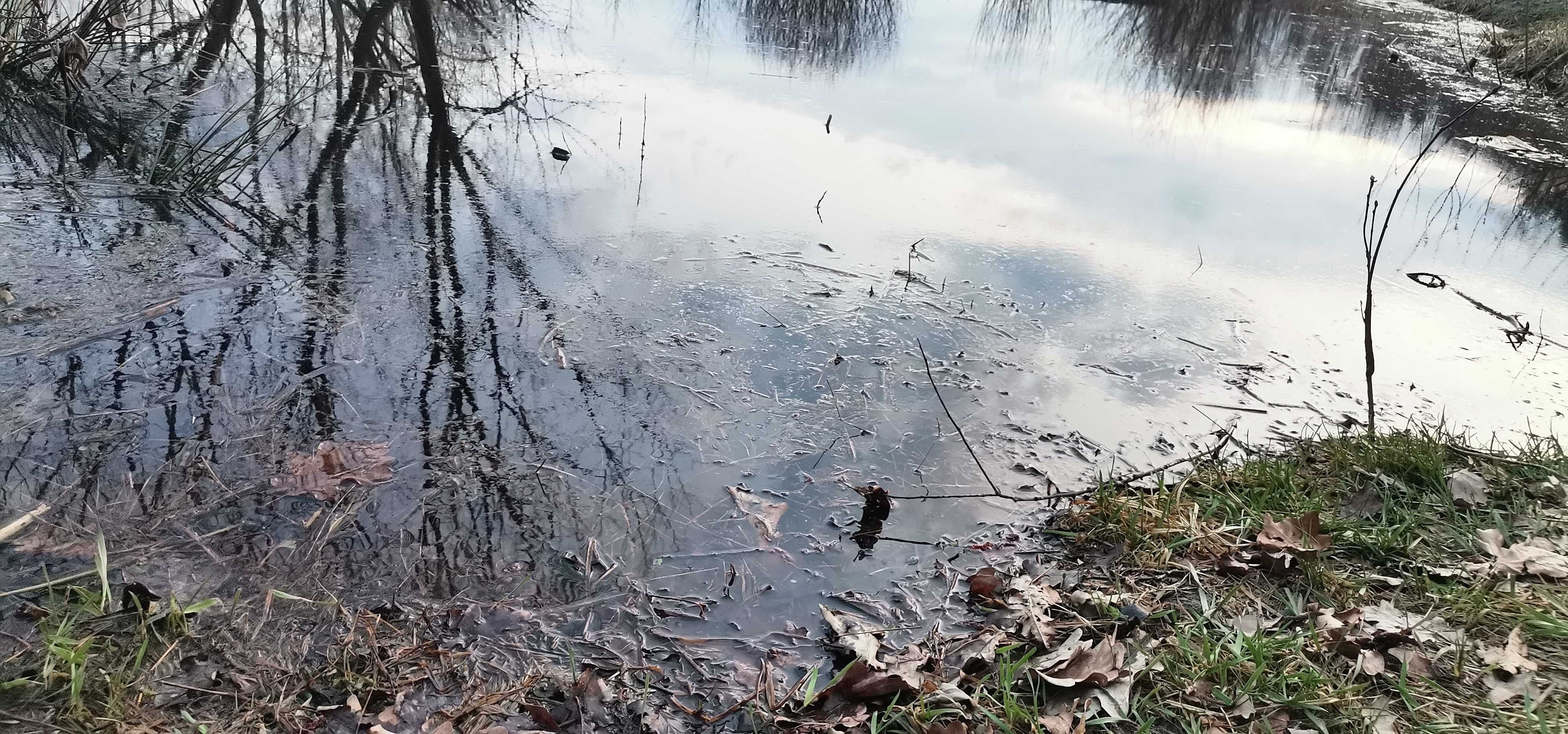 Земельна ділянка біля водойми