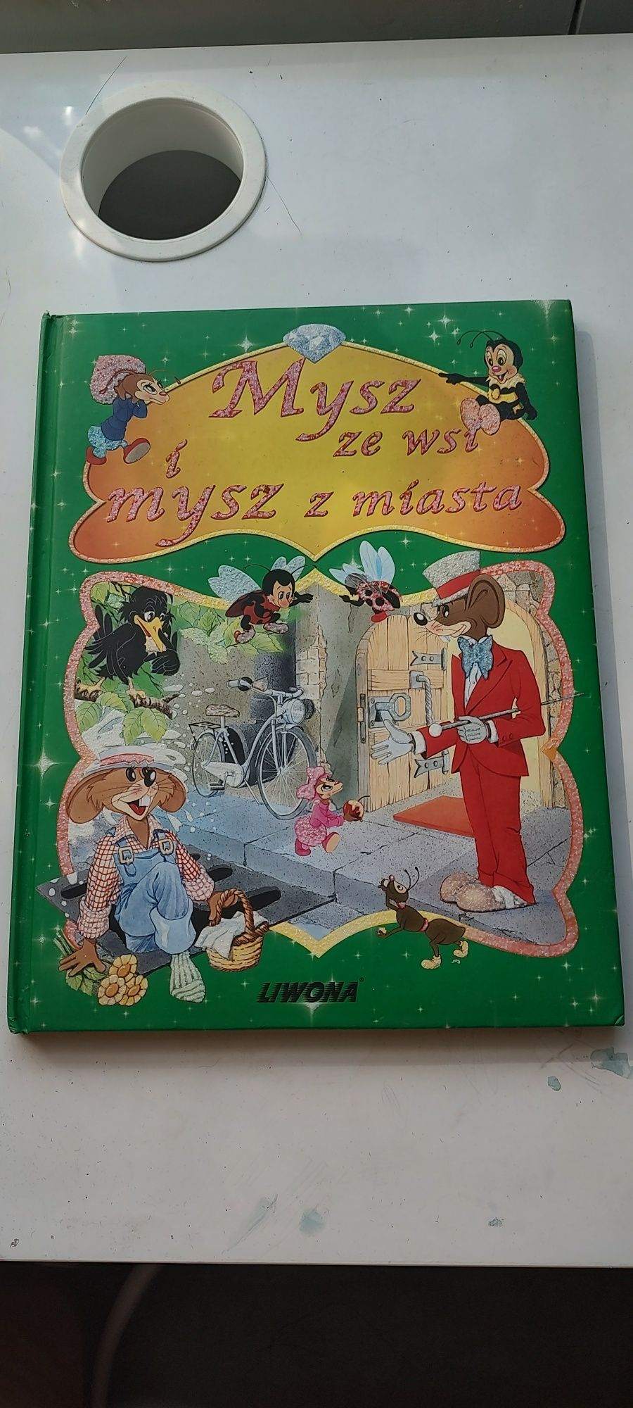 Książka Mysz ze wsi i mysz z miasta