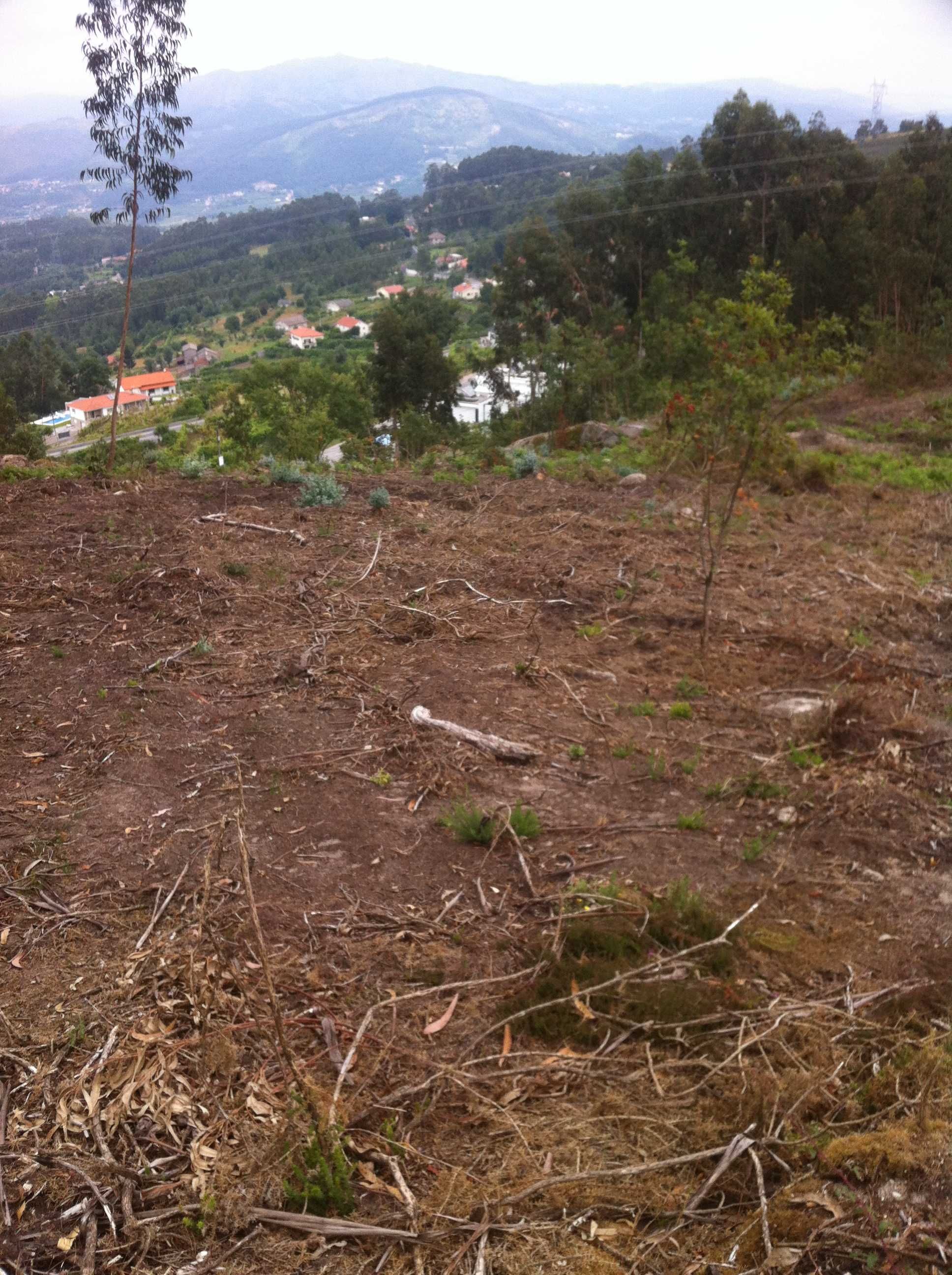 Terreno Urbano\florestal Covelas. Aceito propostas ou permuta