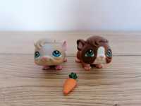 Littlest pet shop lps zestaw unikatowych świnek morskich