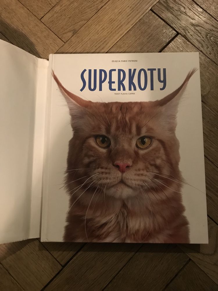 Superkoty album o kotach