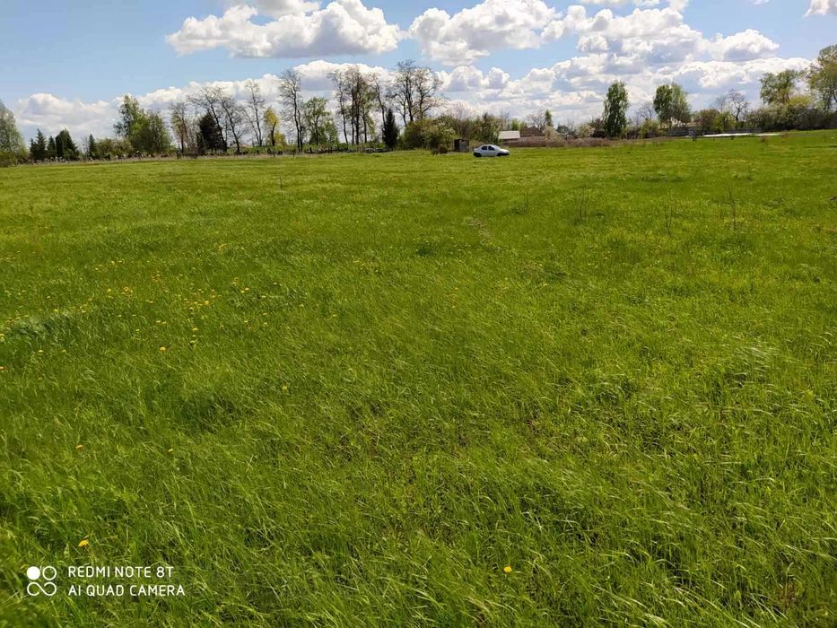 Земельна ділянка Гоголів 15 соток під ОСГ