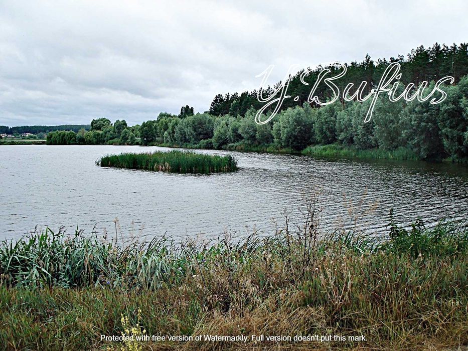 Одеський шлях. В. Салтанівка. Ділянка в сосновому лісі 25 с.