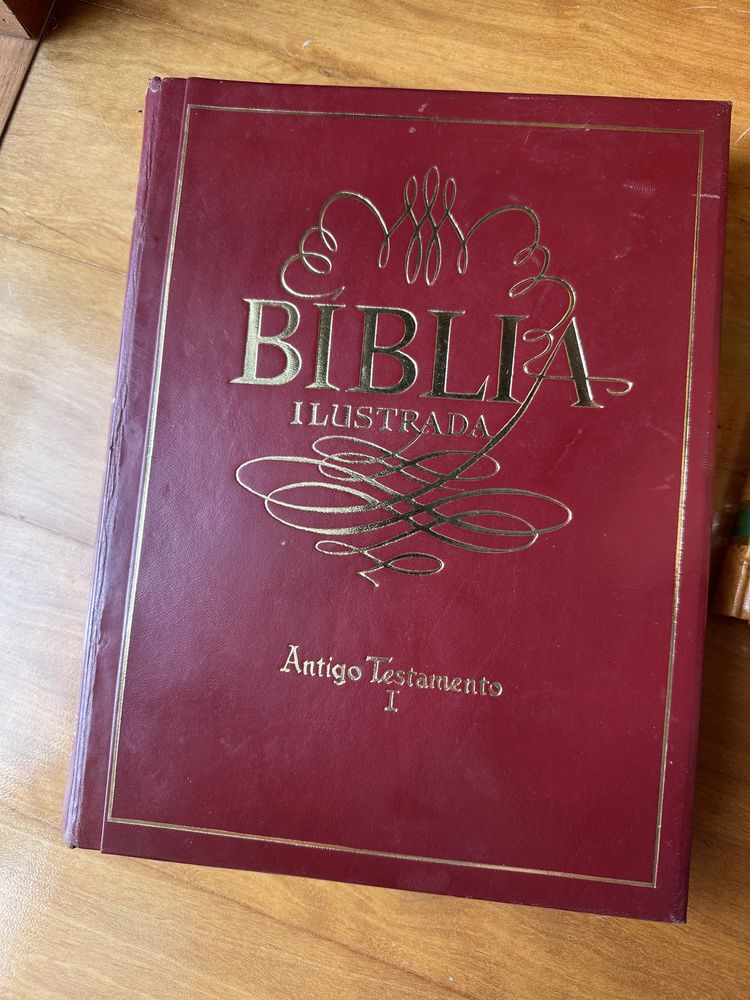 Biblia Ilustrada de 1961