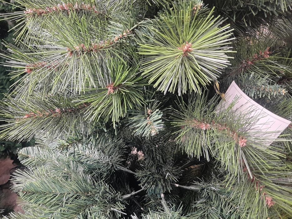 Choinka sztuczna samorozkładająca 180cm