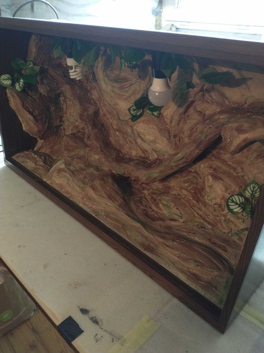 Terrarium zestaw 100x54x30